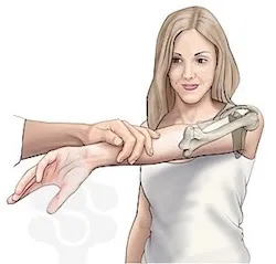來源:https://www.shoulderdoc.co.uk/article/760 來源:https://www.shoulderdoc.co.uk/article/760