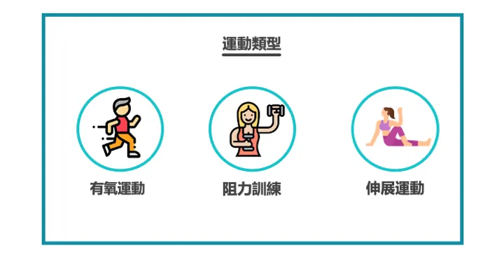 資訊圖:運動類型——有氧運動、阻力訓練、伸展運動